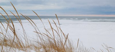 Danish winter_2500x1700