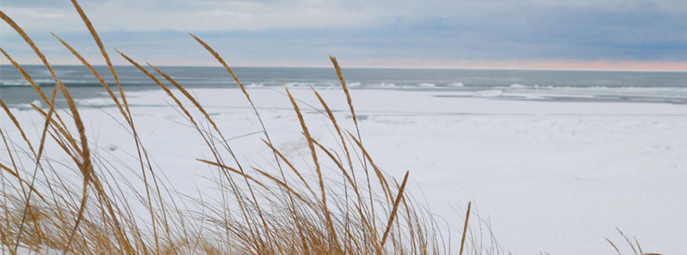 Danish winter_2500x1700