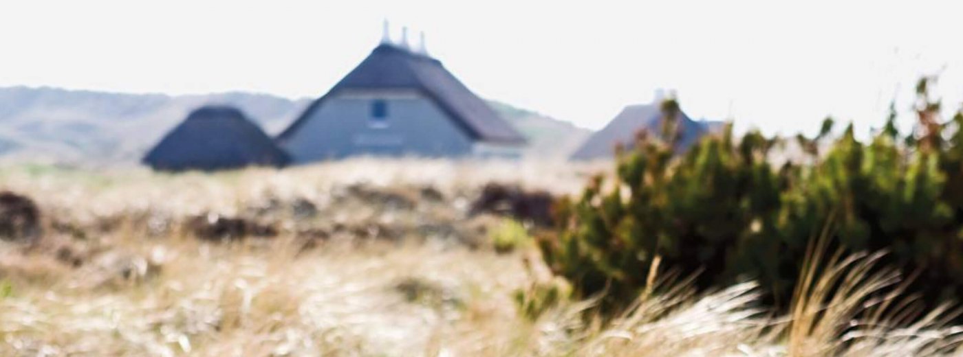 Danish field with yellow straws and two roof tops in the far back